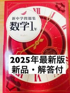 【2024年度最新版】 新品 新中学問題集 公民他【解答付】 2024年度最新版】 新品 新中学問題集 公民【解答付】