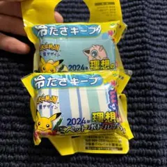 ☆新品☆冷たさキープ　2024年理想のペットボトルホルダー　ポケモン　水筒カバー