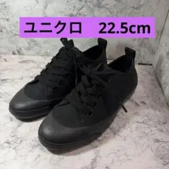 ⭐️ユニクロのコットンキャンバススニーカー⭐️のサムネイル