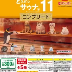 どうぶつサウナ11 ガチャ コンプリートのサムネイル