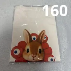 万博　expo 2025 北欧 ミャクミャク　Tシャツ　うさぎ　ラビット　160