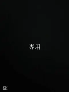 専用出品