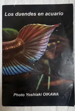 Los duendes en acuario 熱帯魚 写真集 アクアリウム