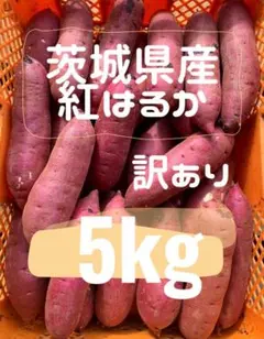 고구마 홍하루카 번역 있음 5kg 이바라키현산 고구마