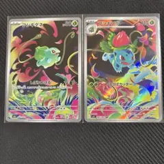 ポケモンカード フシギダネ フシギソウ ar まとめ