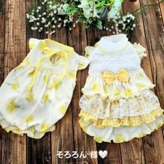 そろろんᵕ̈様❤春✨ミモザブーケ♡ワンピース♡ハンドメイド犬服♡