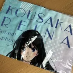 高坂麗奈 フルカラービックタオル
