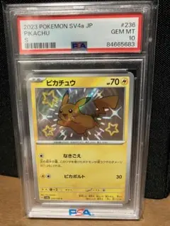 2025年最新】ピカチュウ 色違い psa10の人気アイテム - メルカリ