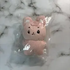 zb1 ユジン ぬい ぬいぐるみ