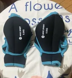 Item thumbnail for item 35869a17-89c1-47b8-8932-f90683ad96c7