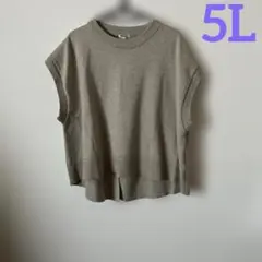 【新品】大きいサイズ5Lシンプル軽ニットベスト　ベージュ系