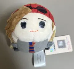 ヒロアカ ロディ もちマス もちもちマスコット ワールドヒーローズミッション