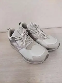 Item thumbnail for item c79f8a24-024f-42db-98c9-a7f059d71cee