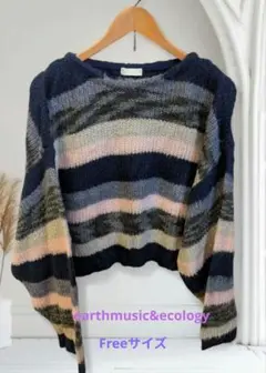 earth music&ecology ストライプニット　フリー【超美品