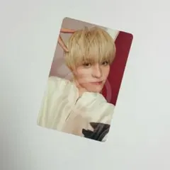 WayV 威神v ヤンヤン Vision Wings smini封入トレカ③