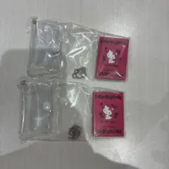 【最安値】サンリオキャラクターズ プロフィール帳 チャーミーキティ