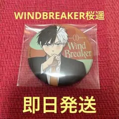 WIND BREAKER 桜遥 缶バッジDress up ver.