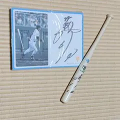 Item thumbnail for item f7de59fd-b624-459b-a5bf-e7d2045b4262