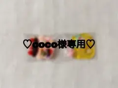 ♡coco様専用♡