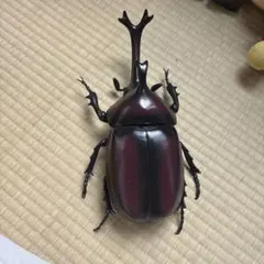 カブトムシ フィギュアのサムネイル