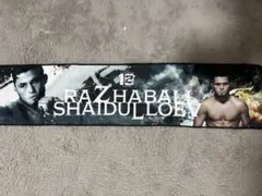 Item thumbnail for item 3353f691-5561-4fe9-bd5e-c0f74238e9da