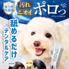 Item thumbnail for item f345b094-dfb4-415b-a209-3b3d57db8613