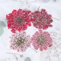 haltm0107様 リクエスト 2点 まとめ商品