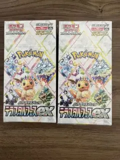 テラスタルフェス　2ボックスセット　シュリンク付　安心鑑定