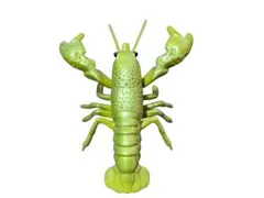 アメリカザリガニBIG ゴールド　タグ付き