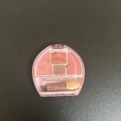 CANMAKEプランぷくコーデアイズ￼ 04