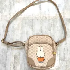 Item thumbnail for item 89a2e6c6-8d96-4cc4-820d-5148a5e8fe28