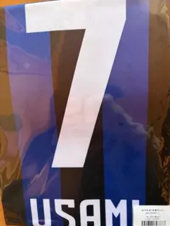 宇佐美貴史 ウェア