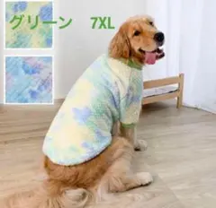 Item thumbnail for item 1bc2269f-1b6c-45db-94d3-3ba93cf35ff9