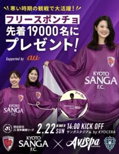 2026年最新】サンフレッチェ広島 ポンチョの人気アイテム - メルカリ