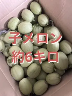 青森県産　摘果メロン（子メロン）　約6キロのサムネイル