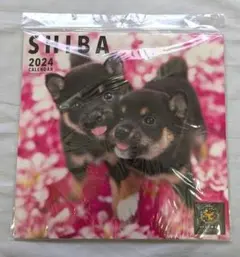 SHIBA　シバ　2024カレンダー　柴犬　子犬のサムネイル