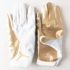 2025年最新】JORDAN グローブの人気アイテム - メルカリ