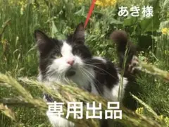 ボタニカルキャンドルホルダーミニ 726