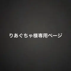 りあぐちゃ様専用ページ