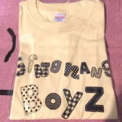 銀杏BOYZ Tシャツ tee logo ロゴ ネイビー L ケイスケカンダ 銀杏BOYZ Tシャツ tee logo ロゴ ネイビー L ケイスケカンダ - メルカリ