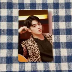 SEVENTEEN セブチ　エスクプス　セミコロン　中華　ヨントン　トレカ ②