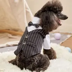 犬用ドレス
