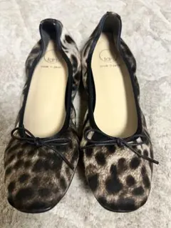 レオパード 23.5