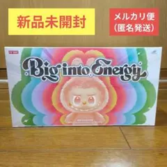ラブブ POPMART Big into Energy／Boxアソート新品未開封