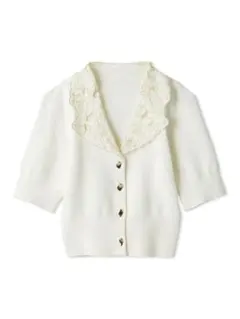 SNIDEL 25ss Sustainableエンブロイダリープルオーバー