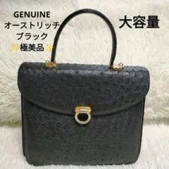 2026年最新】GENUINE OSTRICH LEATHER バッグの人気アイテム - メルカリ
