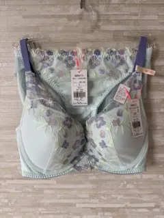 D75L」トリンプ 夢みるブラ DeepV フレーバーウォーター ブラショーツ