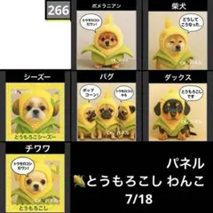 パネル とうもろこし わんこ 7/18