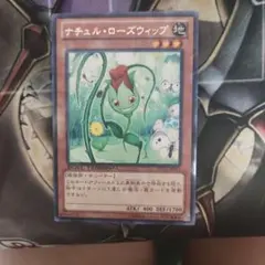 即購入可】遊戯王 ナチュル・ローズウィップ(DTC2-JP011) 1枚② - メルカリ