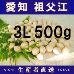 2026年新物 久寿 銀杏 ぎんなん 祖父江産 4L 500g - メルカリ